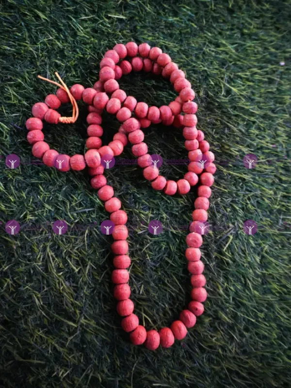 Bodhi Seed Japa Mala (Bodhi Chitt)