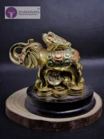 Feng Shui Frog On Elephant