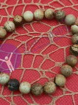 Picture Jasper Bracelet