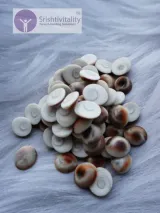 Gomti Chakra
